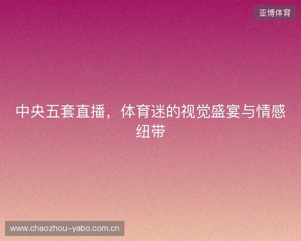 中央五套直播，体育迷的视觉盛宴与情感纽带