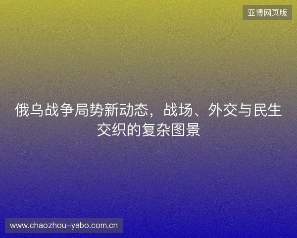 俄乌战争局势新动态，战场、外交与民生交织的复杂图景