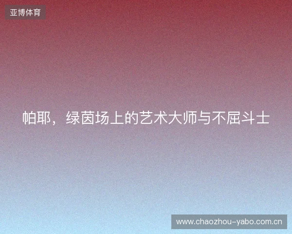 帕耶，绿茵场上的艺术大师与不屈斗士